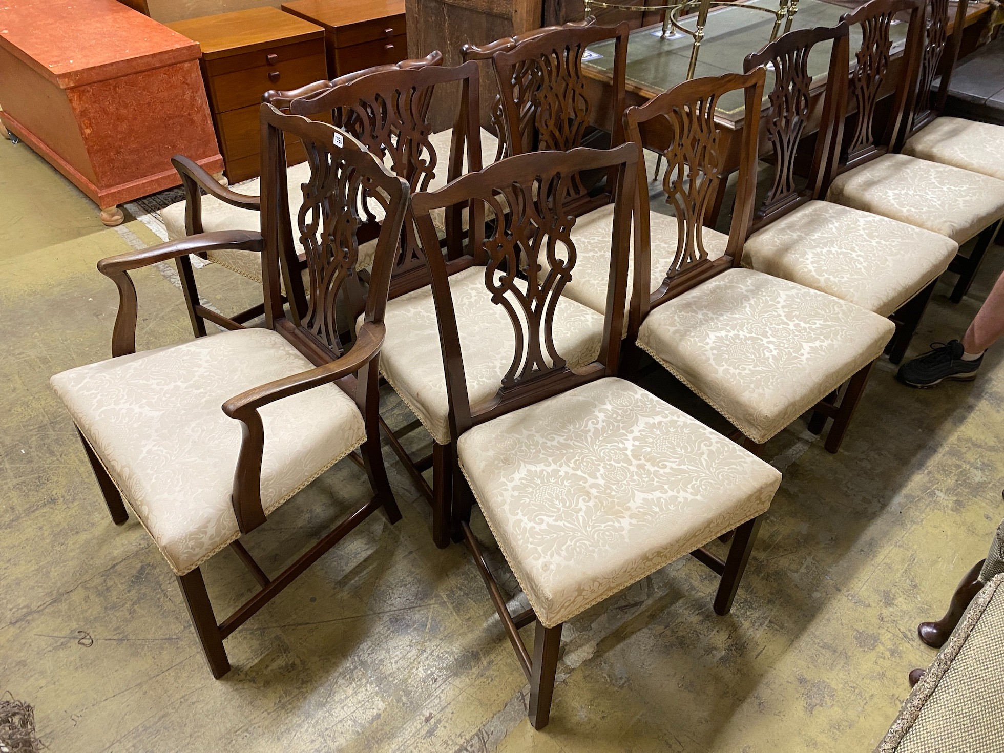 A set of ten Chippendale style mahogany dining chairs including two carvers, width 64cm, height 96cm